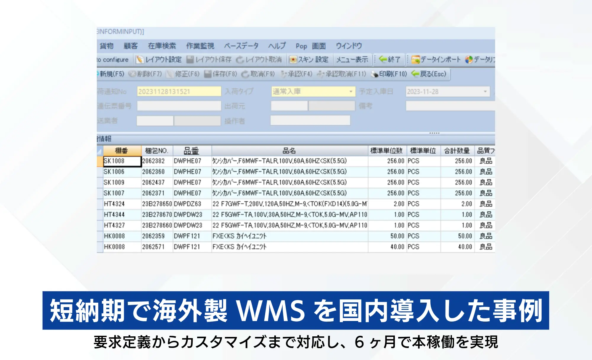 短納期で海外製WMSを国内導入した事例